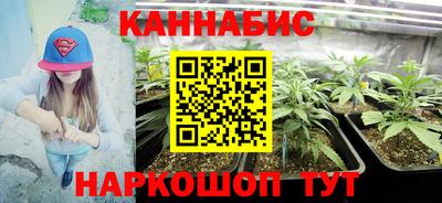 шишки Ачхой-Мартан