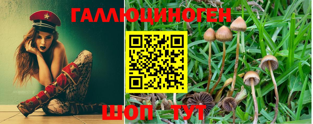Галлюциногенные грибы Psilocybine cubensis Ревда