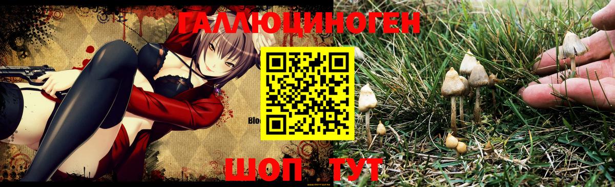 Галлюциногенные грибы Psilocybe  Вход с VPN  Ревда 